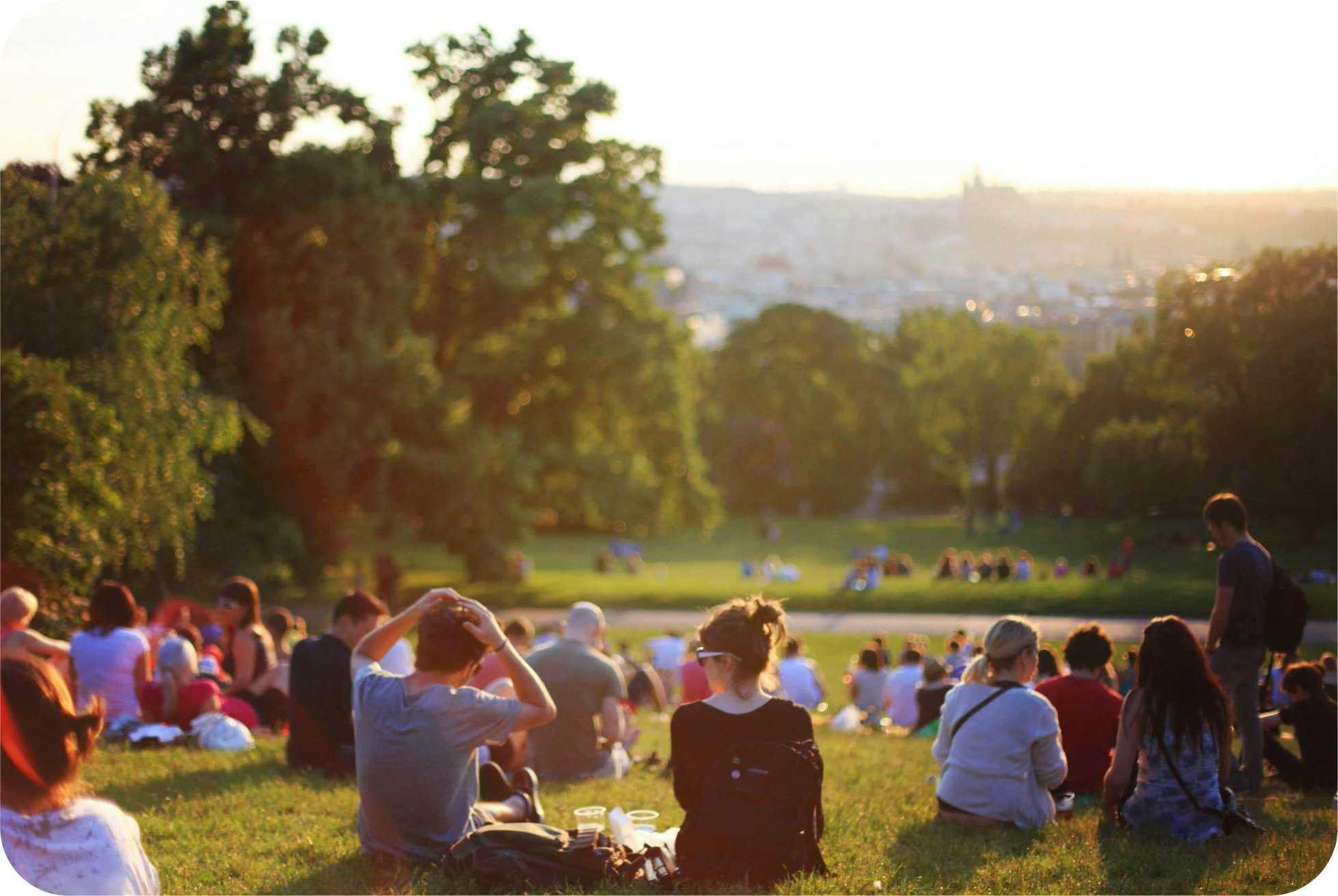 An image of a many groups of people sitting in the grass of a park at sunset with trees around the perimeter.